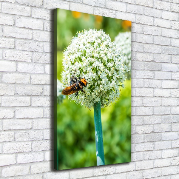 Quadro su tela canvas verticale Fiori d'aglio