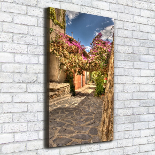 Quadro foto su tela verticale Strade francesi