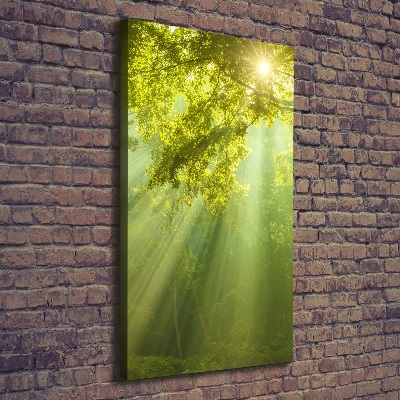 Quadro foto su tela verticale Il sole nella foresta