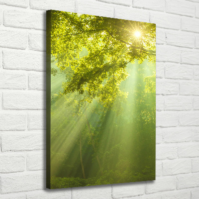 Quadro foto su tela verticale Il sole nella foresta