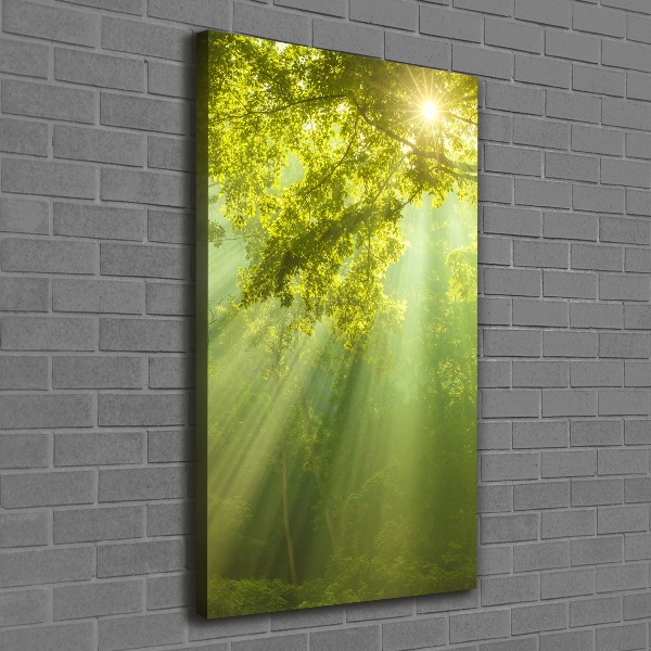 Quadro foto su tela verticale Il sole nella foresta