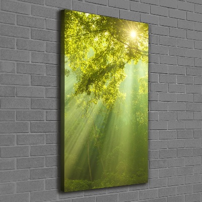 Quadro foto su tela verticale Il sole nella foresta