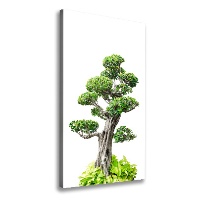 Stampa quadro su tela verticale Albero bonsai
