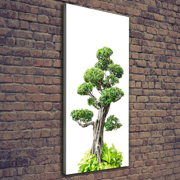 Stampa quadro su tela verticale Albero bonsai