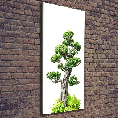 Stampa quadro su tela verticale Albero bonsai