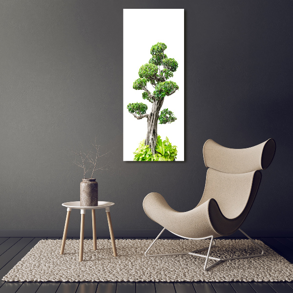 Stampa quadro su tela verticale Albero bonsai