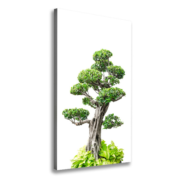 Stampa quadro su tela verticale Albero bonsai