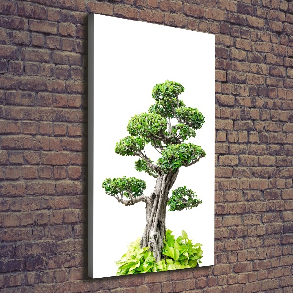 Stampa quadro su tela verticale Albero bonsai
