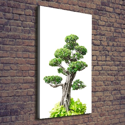 Stampa quadro su tela verticale Albero bonsai