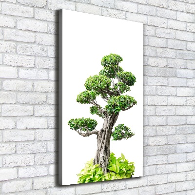 Stampa quadro su tela verticale Albero bonsai