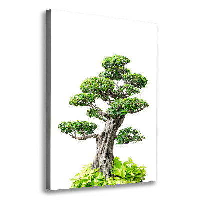 Stampa quadro su tela verticale Albero bonsai