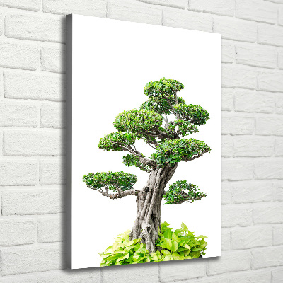 Stampa quadro su tela verticale Albero bonsai