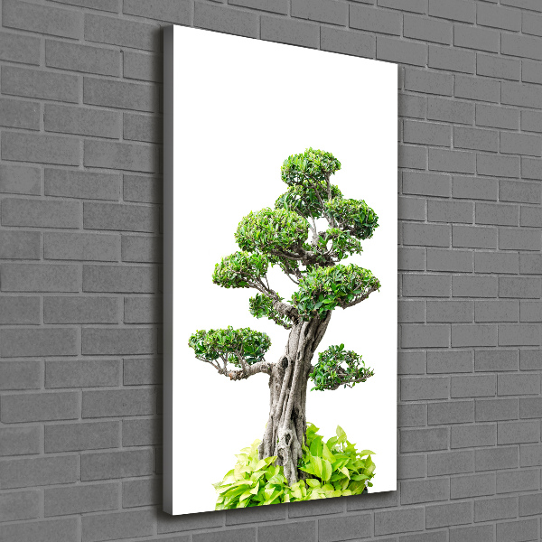 Stampa quadro su tela verticale Albero bonsai