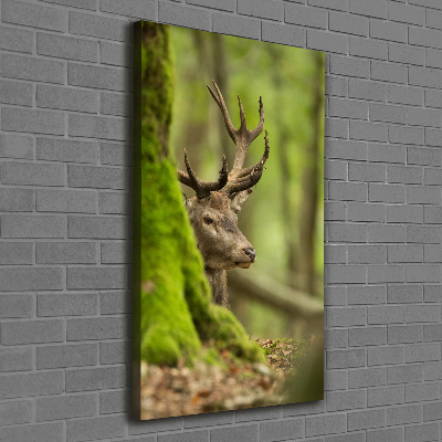 Quadro foto su tela verticale Cervo