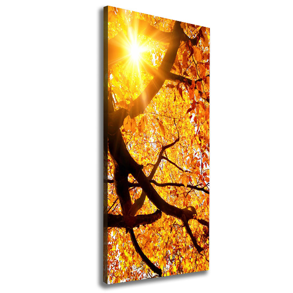 Quadro su tela canvas verticale Albero autunnale