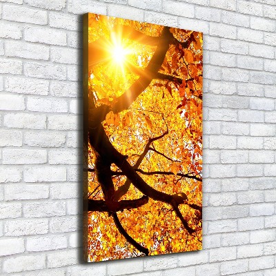 Quadro su tela canvas verticale Albero autunnale