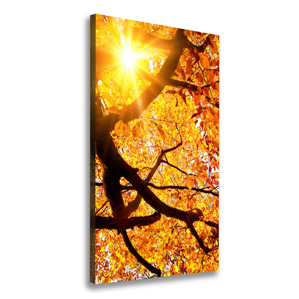 Quadro su tela canvas verticale Albero autunnale