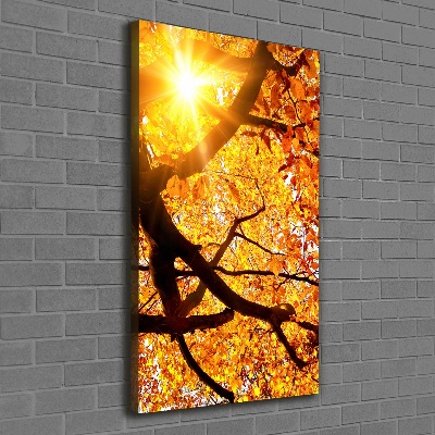 Quadro su tela canvas verticale Albero autunnale
