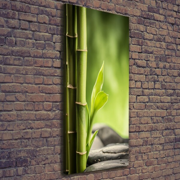 Quadro foto su tela verticale Bambù