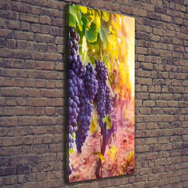 Stampa quadro su tela verticale Vigneto