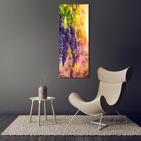 Stampa quadro su tela verticale Vigneto