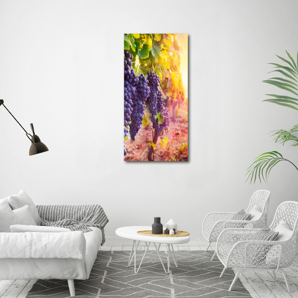 Stampa quadro su tela verticale Vigneto