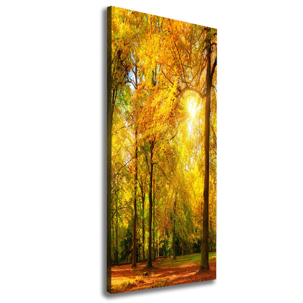 Quadro su tela canvas verticale Foresta in autunno