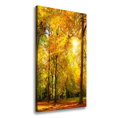Quadro su tela canvas verticale Foresta in autunno