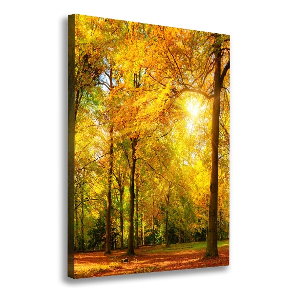 Quadro su tela canvas verticale Foresta in autunno