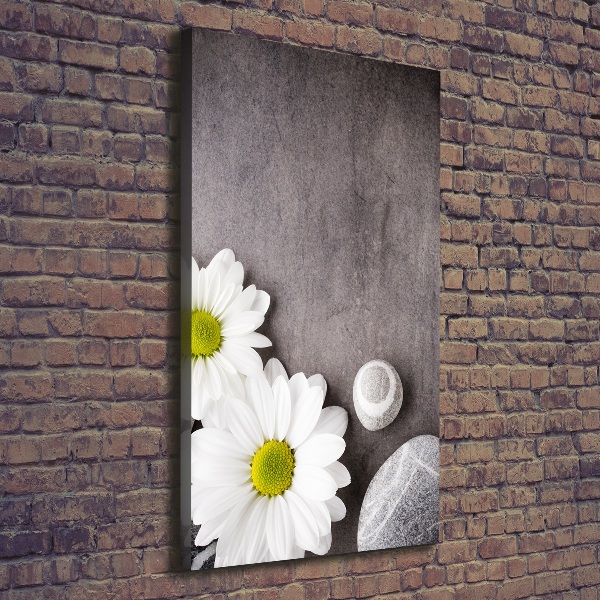 Stampa quadro su tela verticale Gerbera