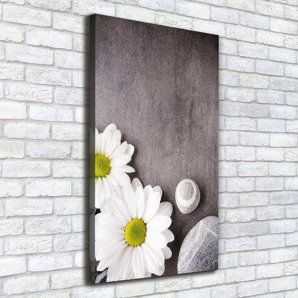 Stampa quadro su tela verticale Gerbera