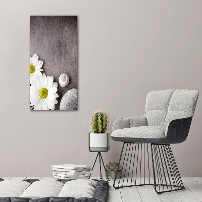 Stampa quadro su tela verticale Gerbera