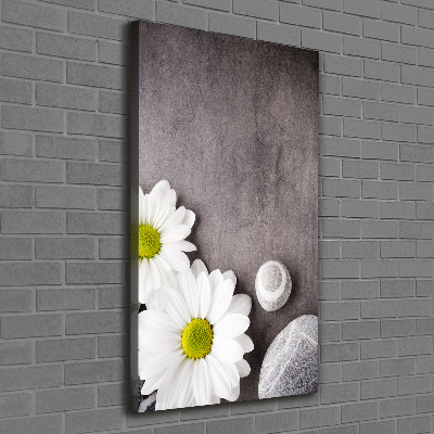Stampa quadro su tela verticale Gerbera