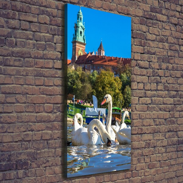 Quadro foto su tela verticale Cracovia, Polonia