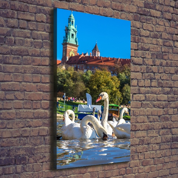 Quadro foto su tela verticale Cracovia, Polonia