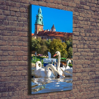Quadro foto su tela verticale Cracovia, Polonia