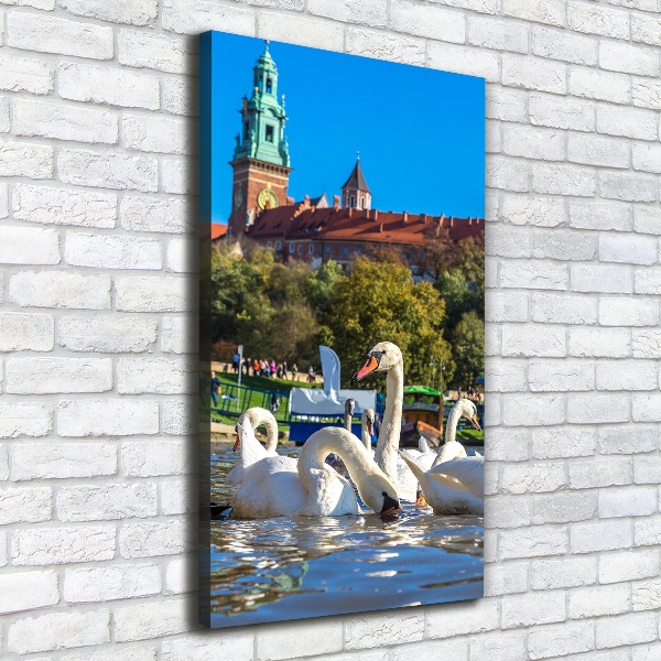 Quadro foto su tela verticale Cracovia, Polonia