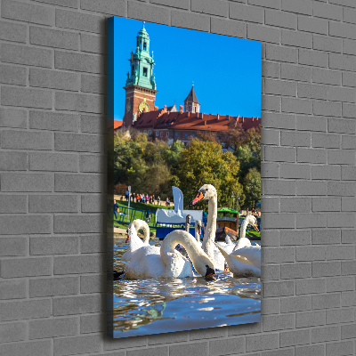 Quadro foto su tela verticale Cracovia, Polonia