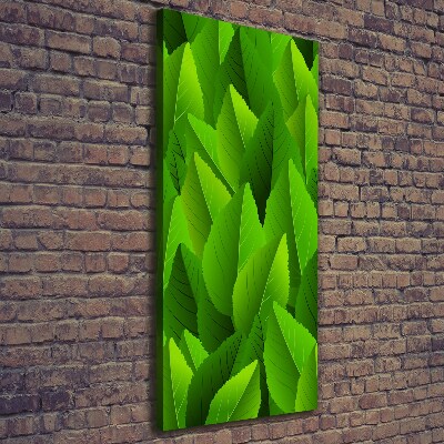 Stampa quadro su tela verticale Foglie verdi