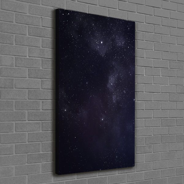 Quadro foto su tela verticale Costellazione