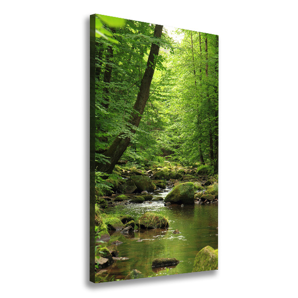 Quadro foto su tela verticale Fiume nella foresta