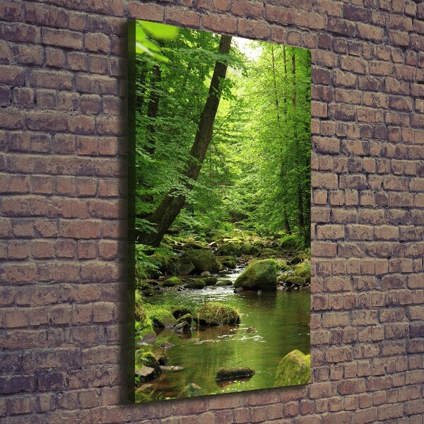 Quadro foto su tela verticale Fiume nella foresta