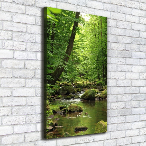Quadro foto su tela verticale Fiume nella foresta