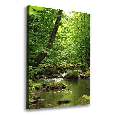 Quadro foto su tela verticale Fiume nella foresta