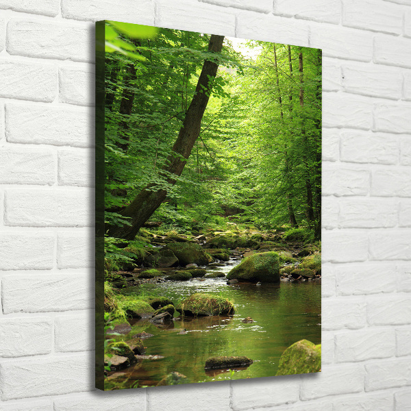 Quadro foto su tela verticale Fiume nella foresta