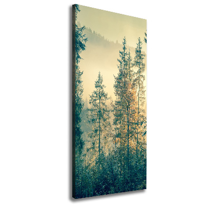 Quadro su tela canvas verticale Nebbia sulla foresta