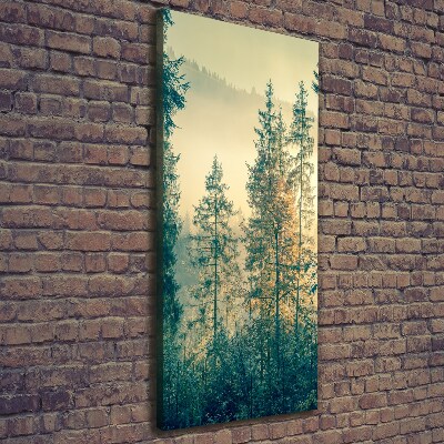 Quadro su tela canvas verticale Nebbia sulla foresta