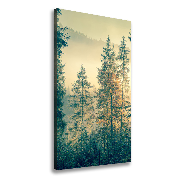 Quadro su tela canvas verticale Nebbia sulla foresta