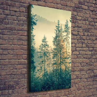Quadro su tela canvas verticale Nebbia sulla foresta