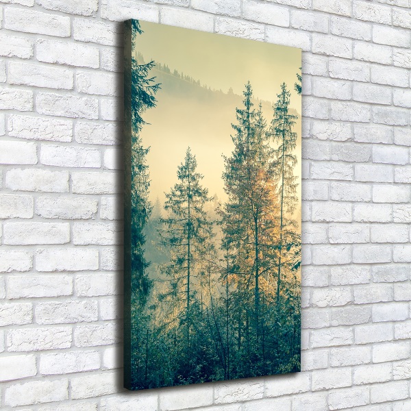 Quadro su tela canvas verticale Nebbia sulla foresta